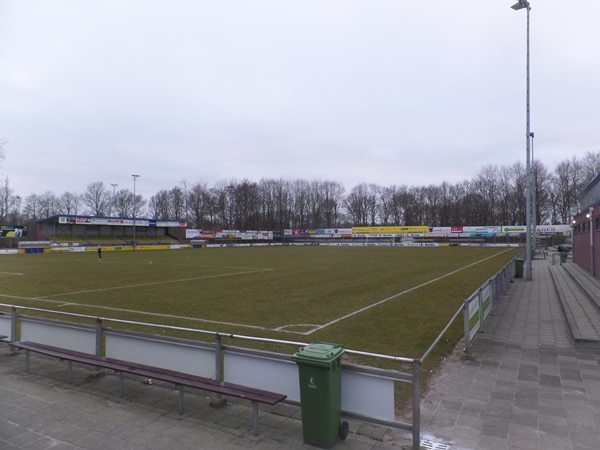 stadium photo